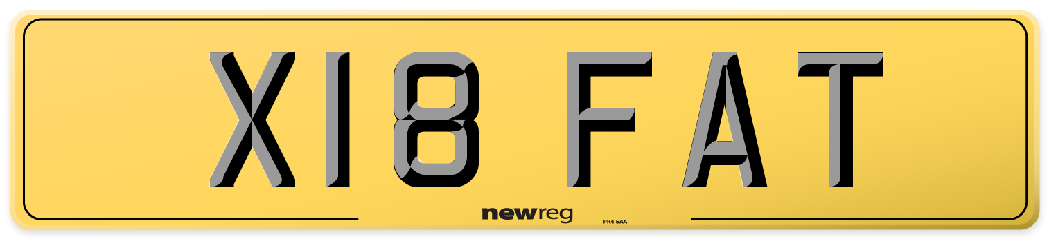 X18 FAT Rear Number Plate