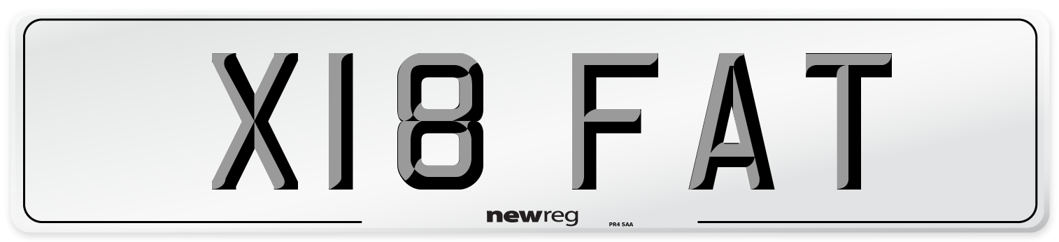 X18 FAT Front Number Plate