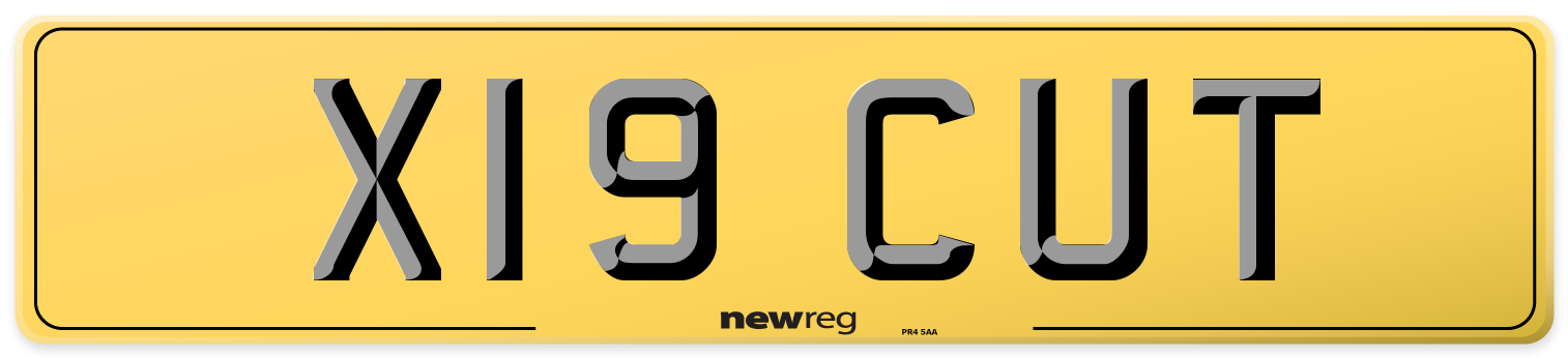 X19 CUT Rear Number Plate