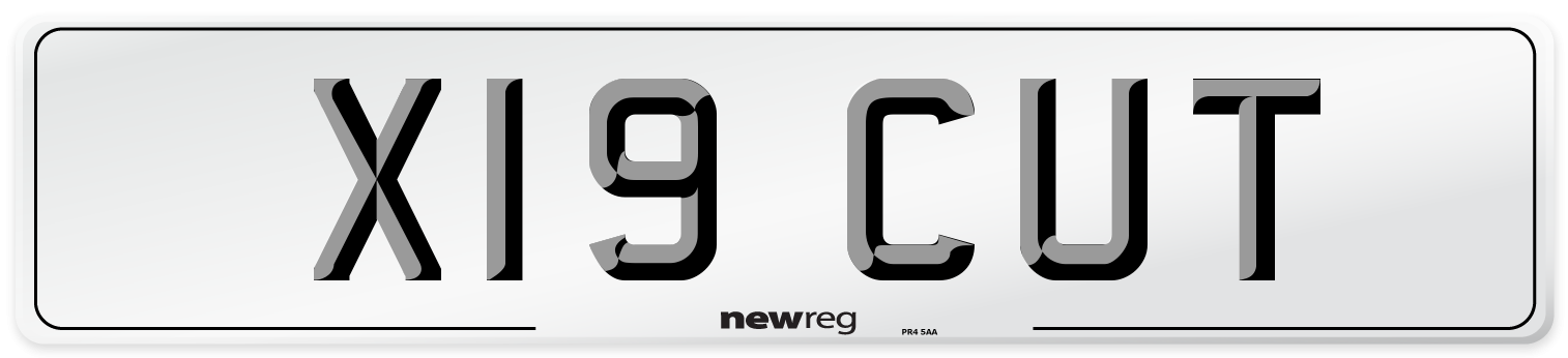 X19 CUT Front Number Plate