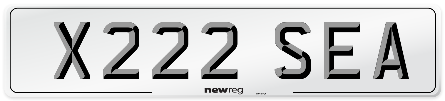 X222 SEA Front Number Plate