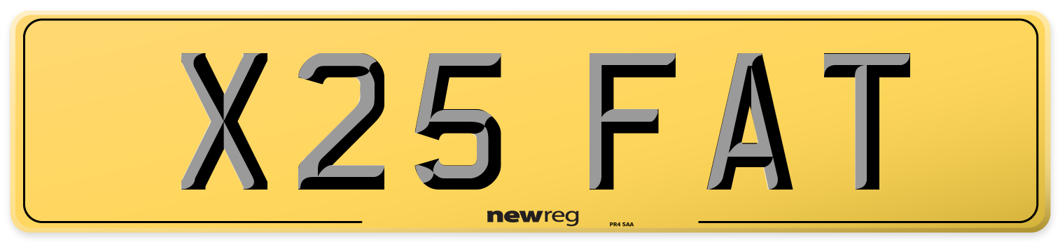 X25 FAT Rear Number Plate
