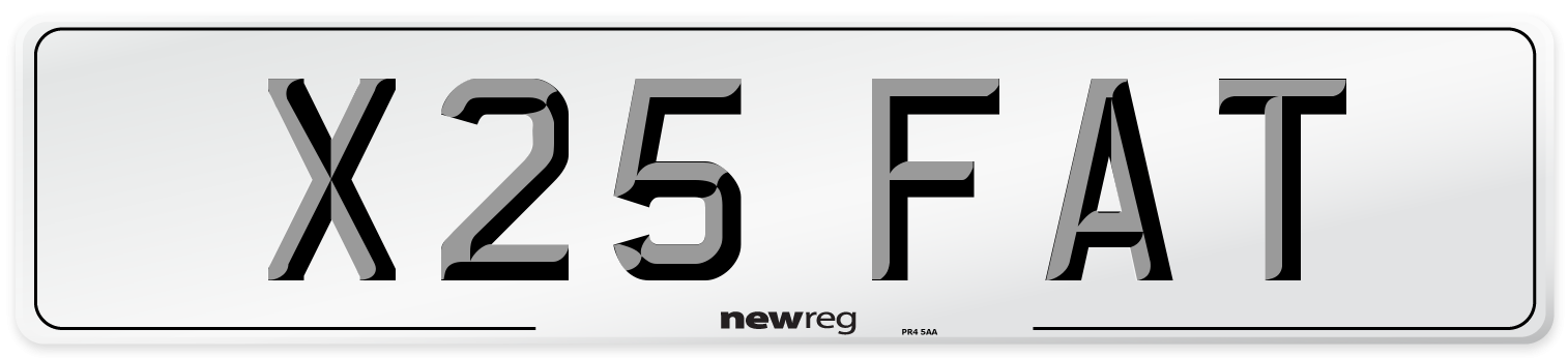 X25 FAT Front Number Plate