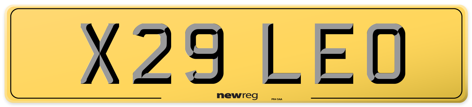 X29 LEO Rear Number Plate
