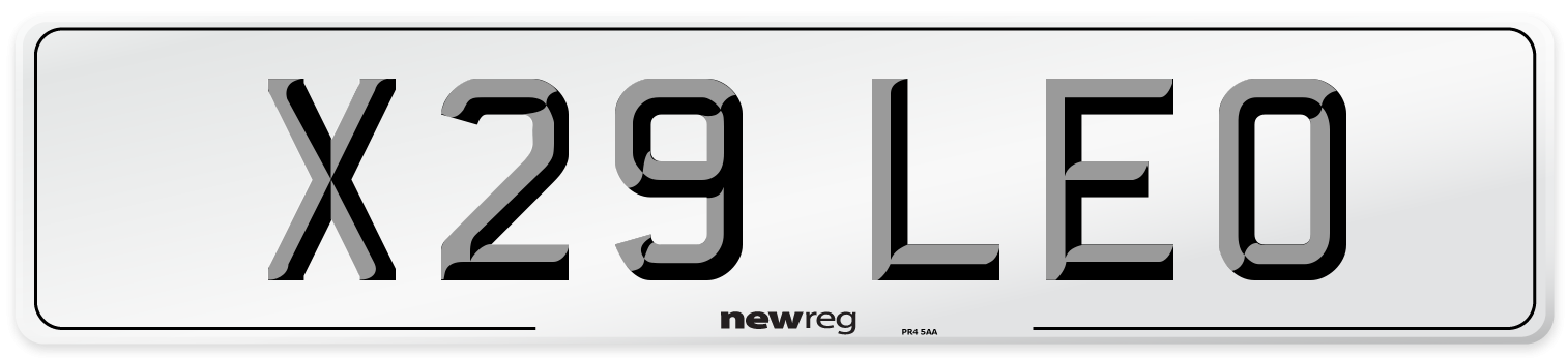 X29 LEO Front Number Plate