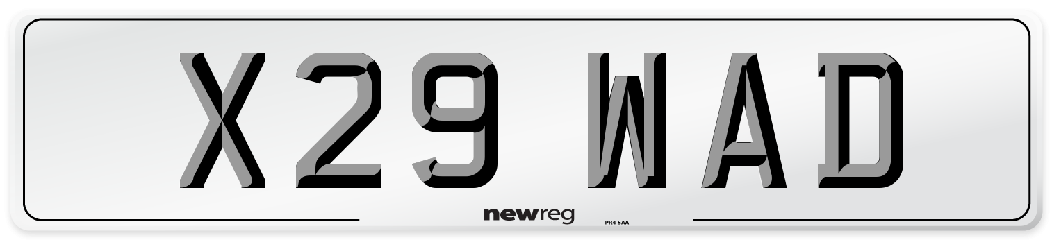 X29 WAD Front Number Plate