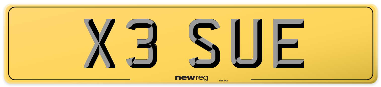 X3 SUE Rear Number Plate