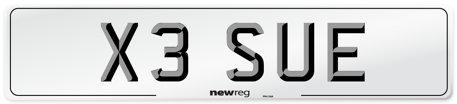 X3 SUE Front Number Plate
