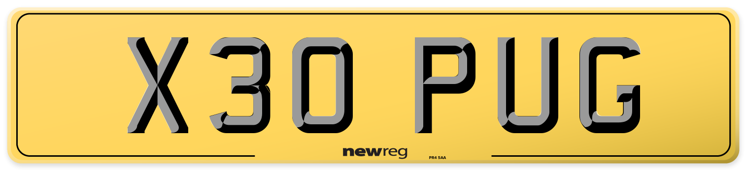 X30 PUG Rear Number Plate