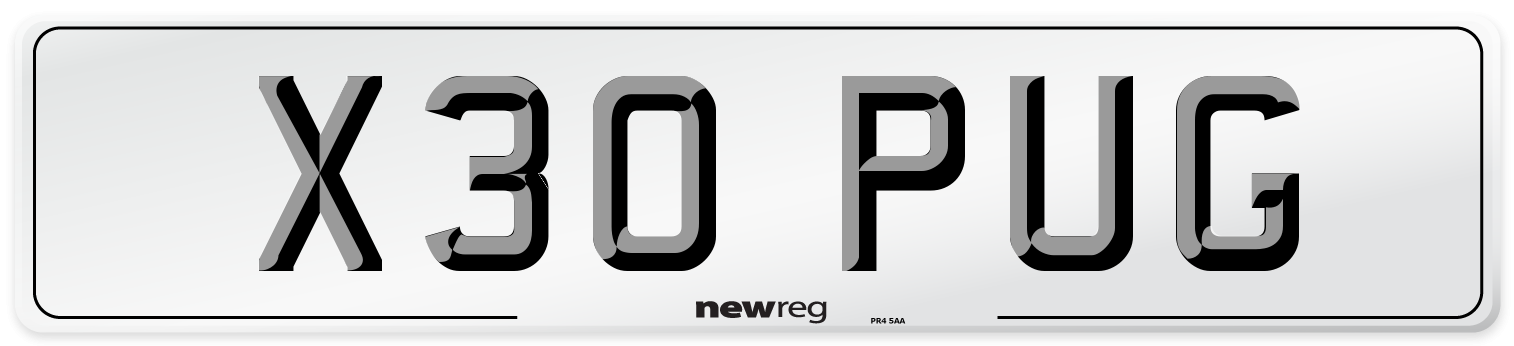 X30 PUG Front Number Plate