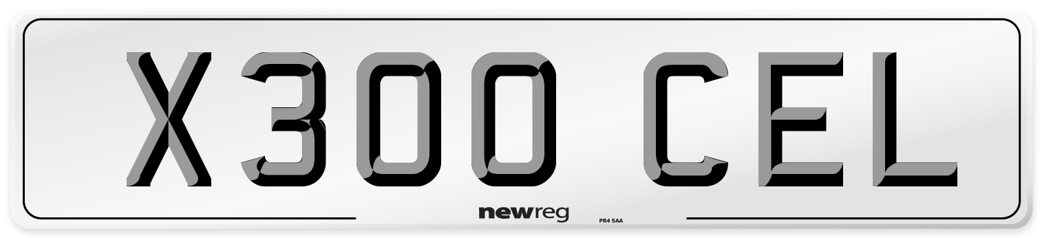 X300 CEL Front Number Plate
