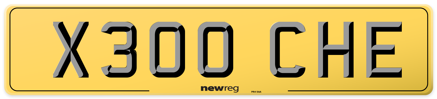 X300 CHE Rear Number Plate