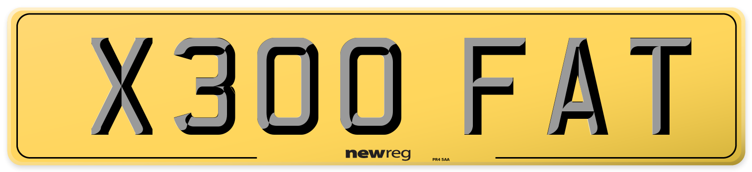 X300 FAT Rear Number Plate