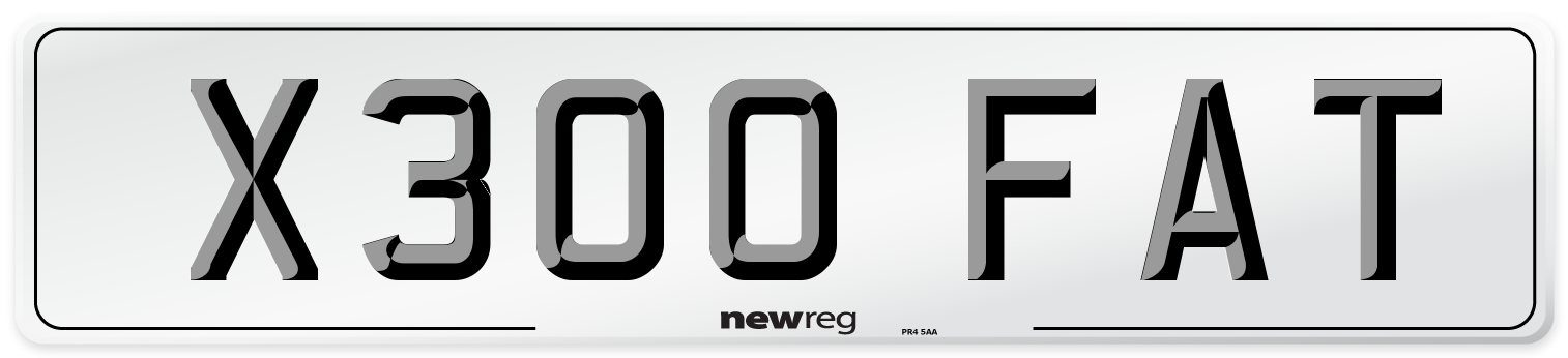 X300 FAT Front Number Plate