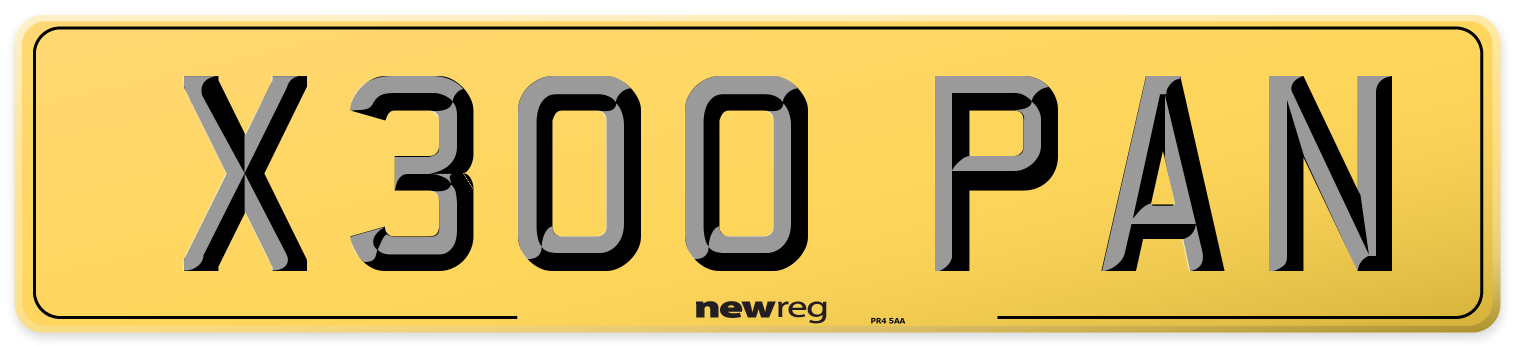 X300 PAN Rear Number Plate