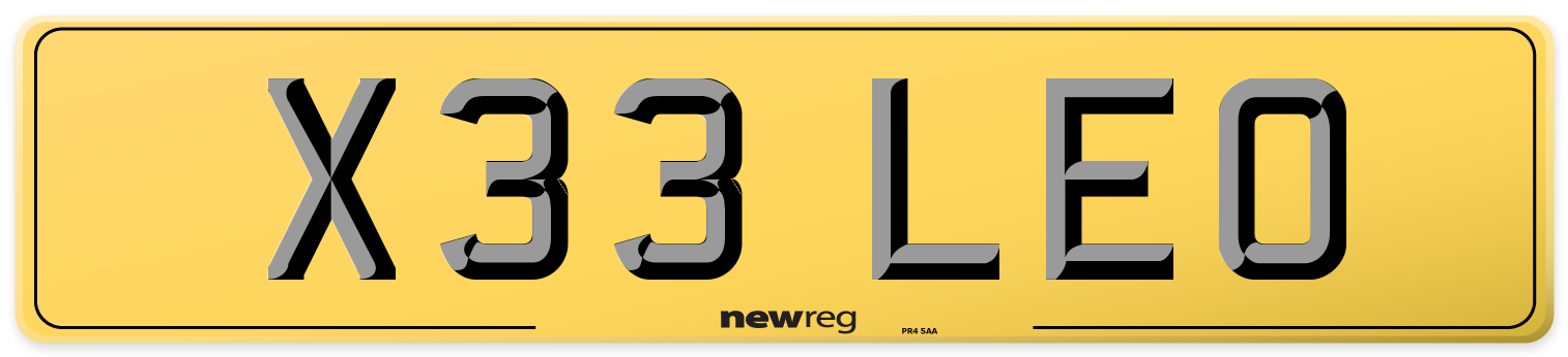 X33 LEO Rear Number Plate