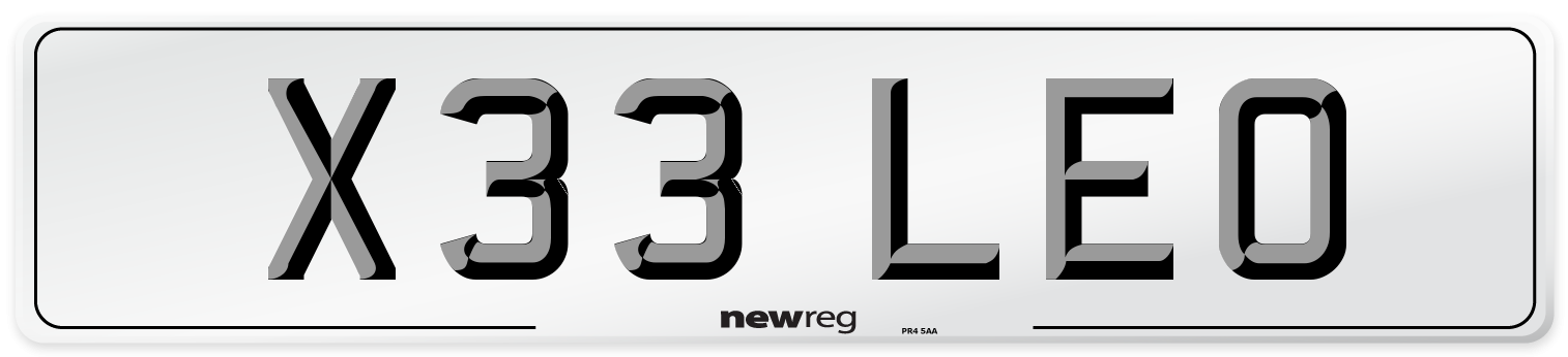 X33 LEO Front Number Plate