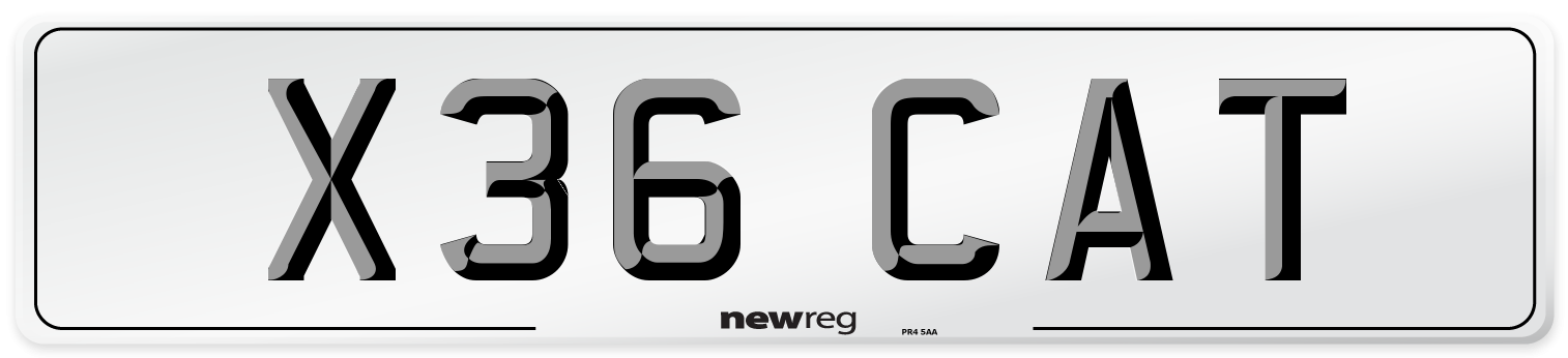 X36 CAT Front Number Plate