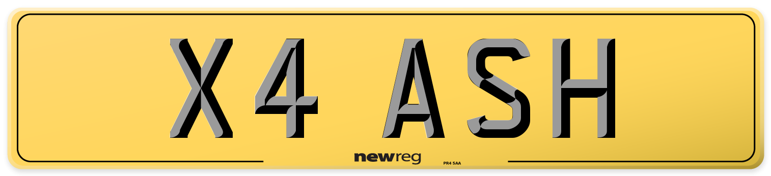 X4 ASH Rear Number Plate