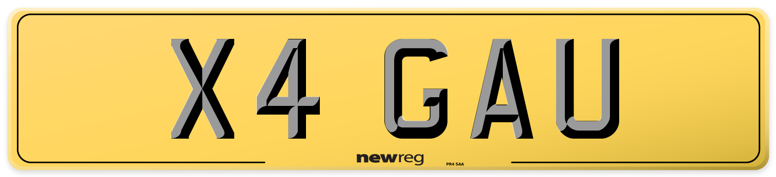X4 GAU Rear Number Plate