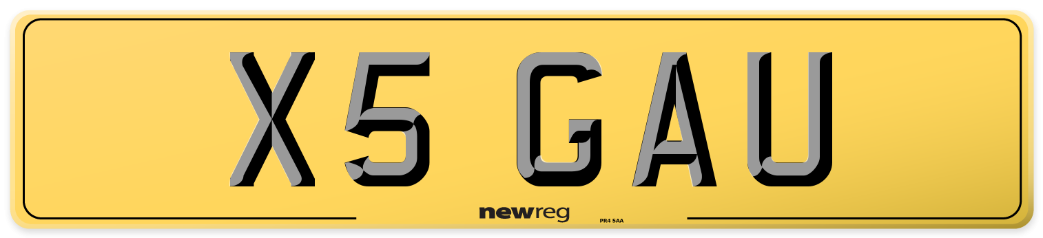 X5 GAU Rear Number Plate