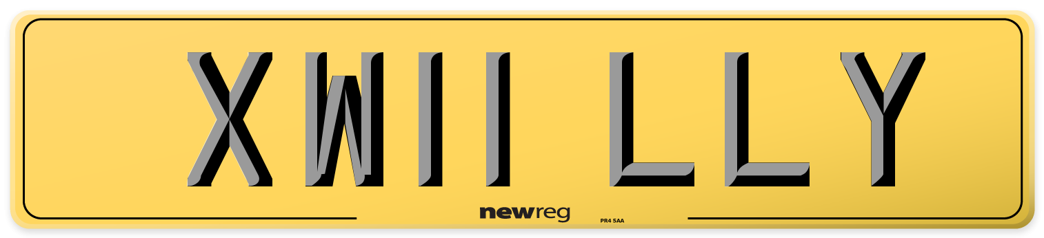 XW11 LLY Rear Number Plate
