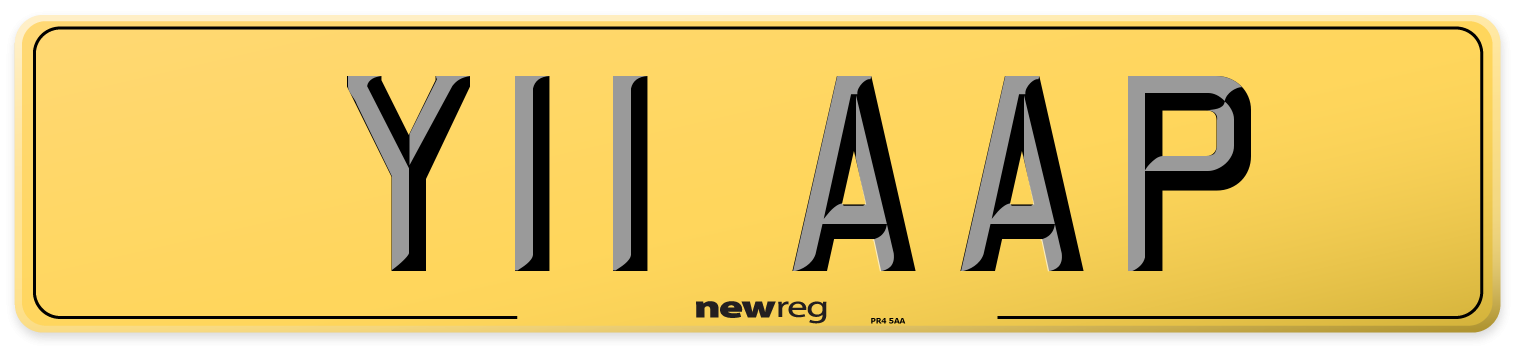 Y11 AAP Rear Number Plate