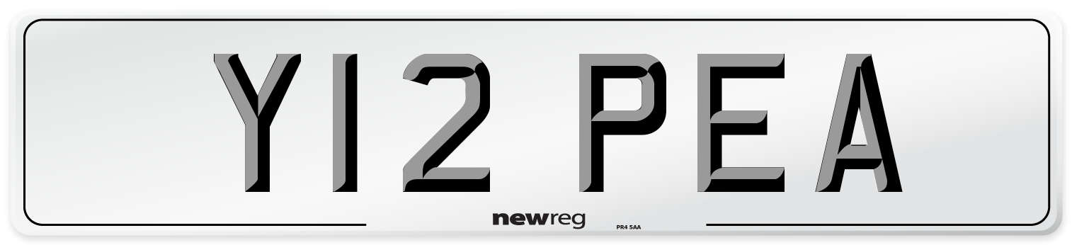 Y12 PEA Front Number Plate