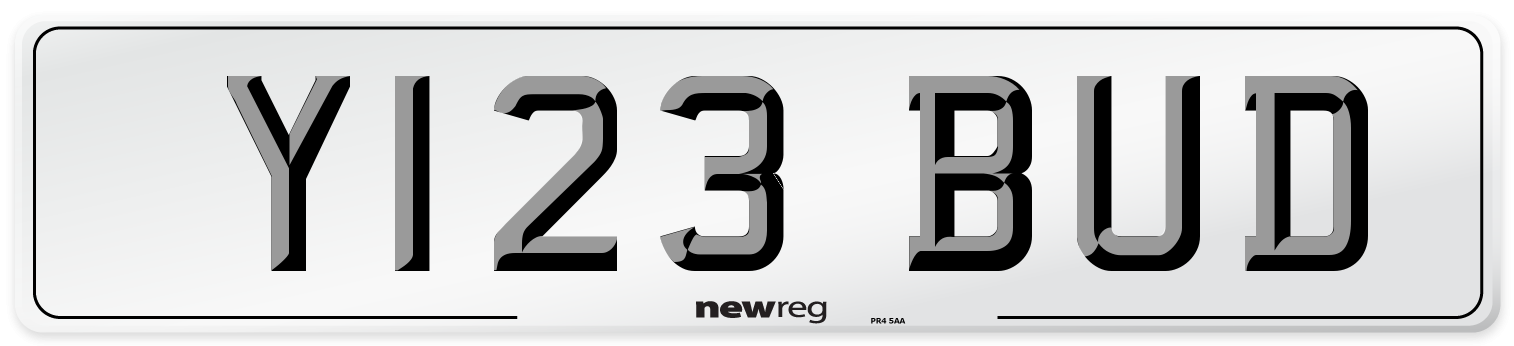 Y123 BUD Front Number Plate