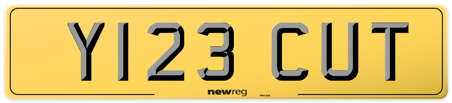Y123 CUT Rear Number Plate