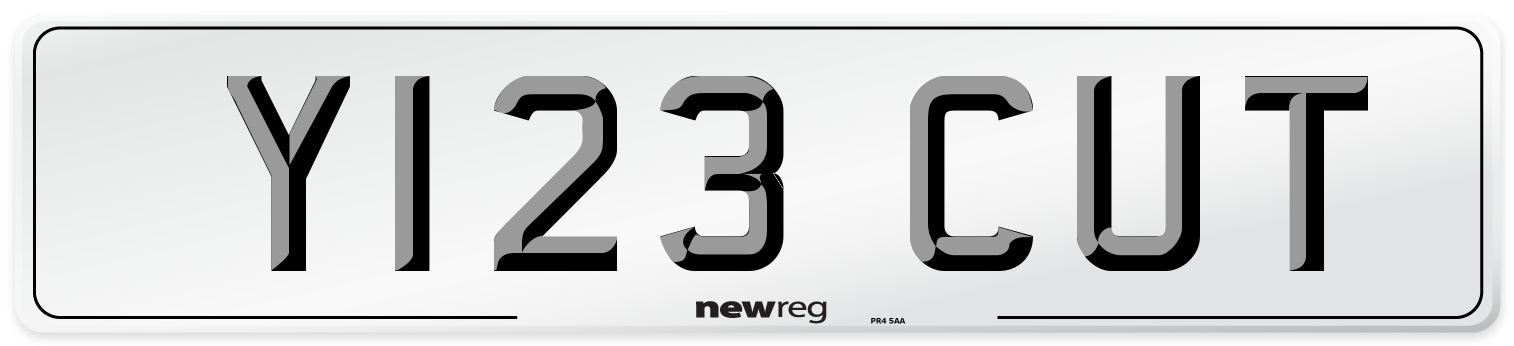 Y123 CUT Front Number Plate