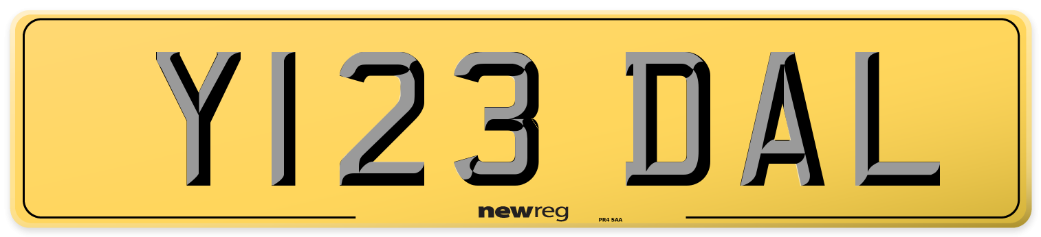 Y123 DAL Rear Number Plate