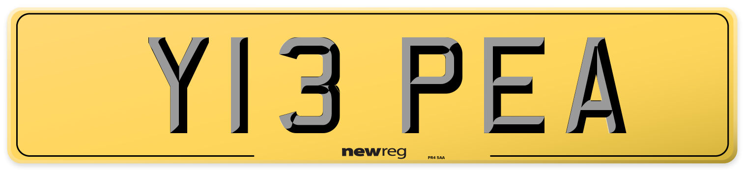 Y13 PEA Rear Number Plate