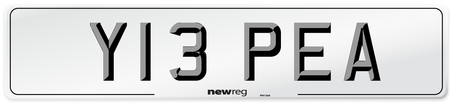 Y13 PEA Front Number Plate