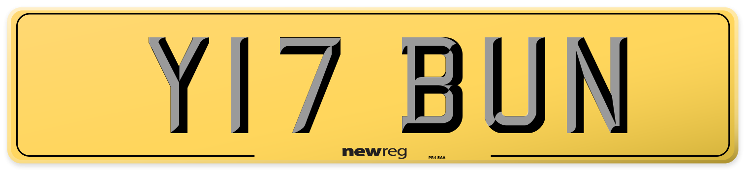 Y17 BUN Rear Number Plate