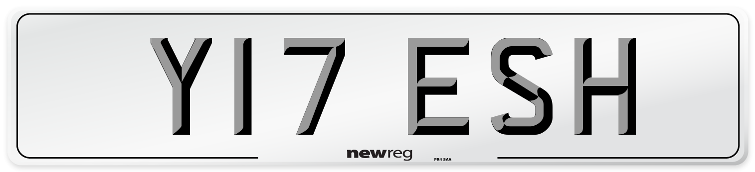 Y17 ESH Front Number Plate
