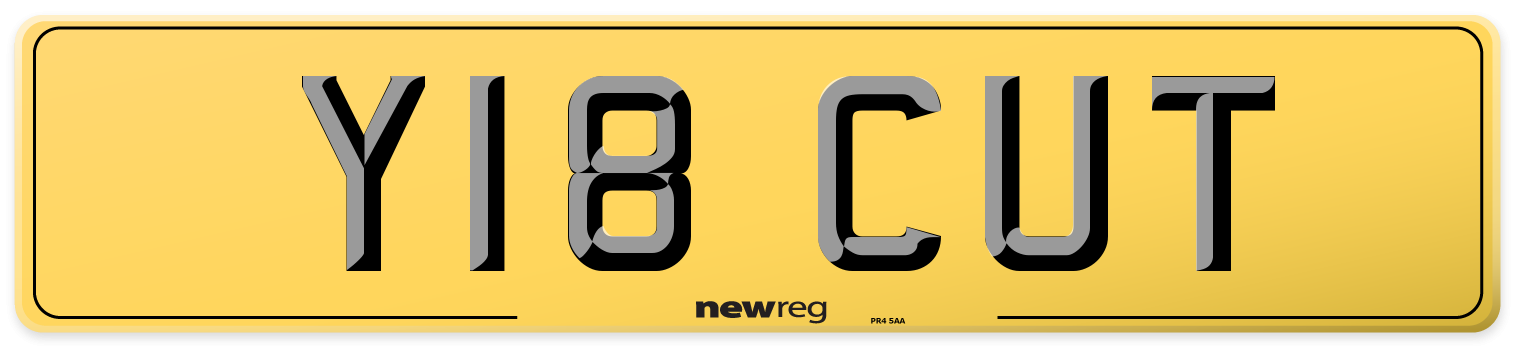 Y18 CUT Rear Number Plate