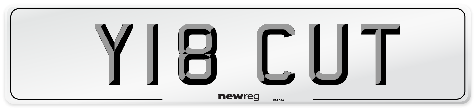 Y18 CUT Front Number Plate