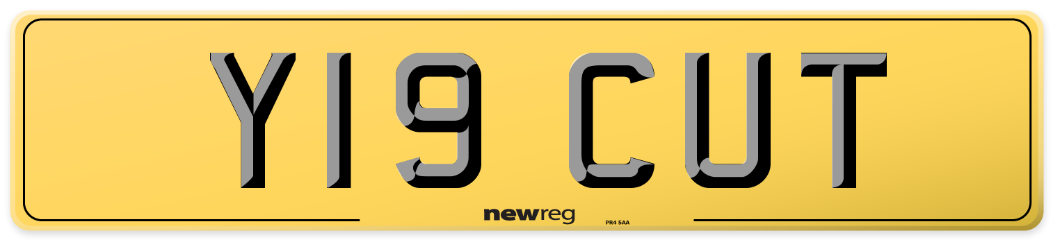 Y19 CUT Rear Number Plate