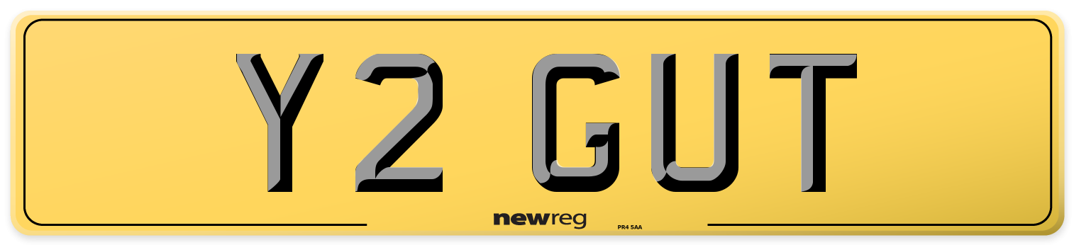 Y2 GUT Rear Number Plate