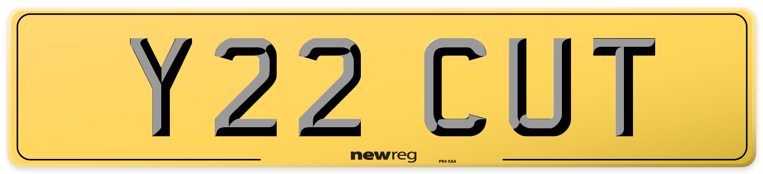 Y22 CUT Rear Number Plate