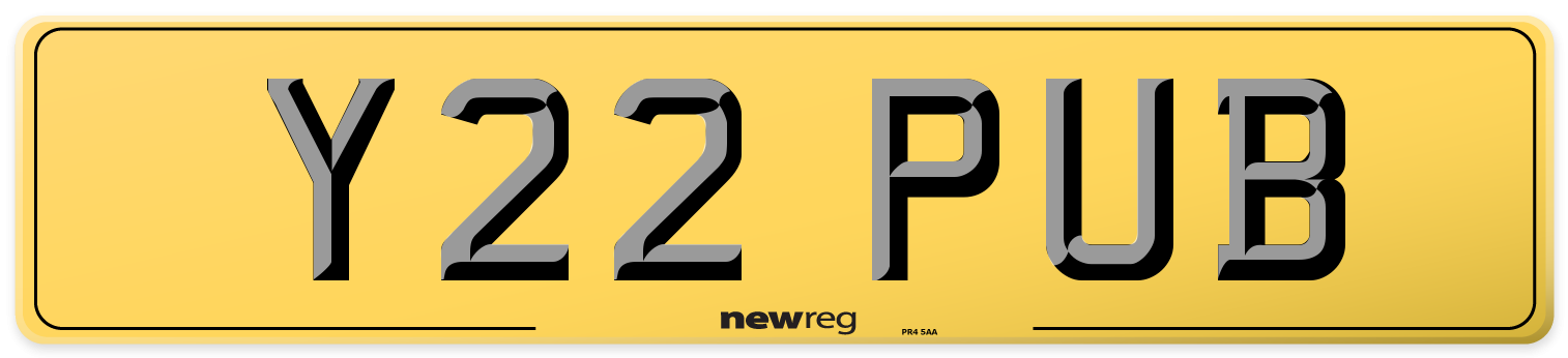 Y22 PUB Rear Number Plate