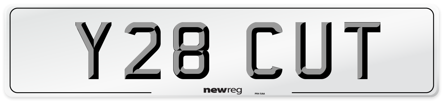 Y28 CUT Front Number Plate