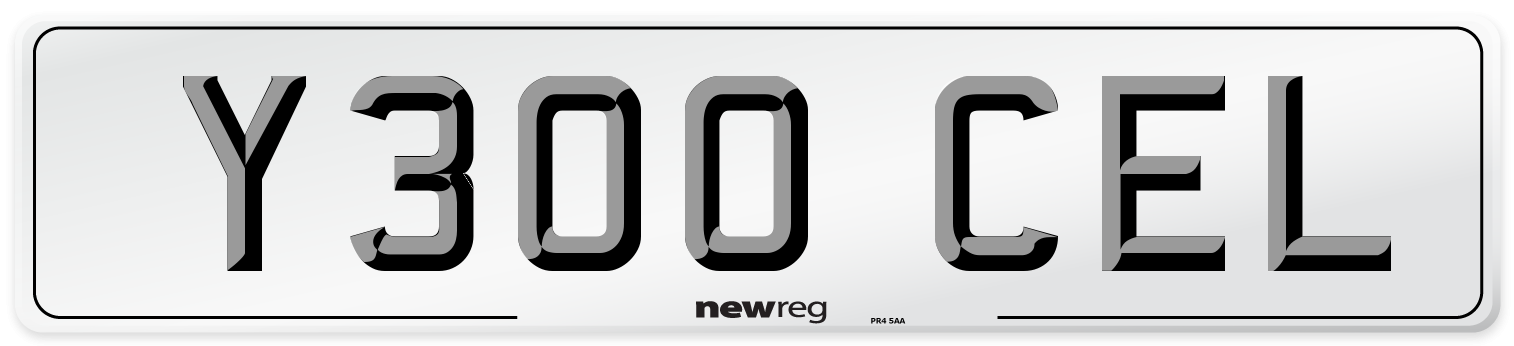 Y300 CEL Front Number Plate