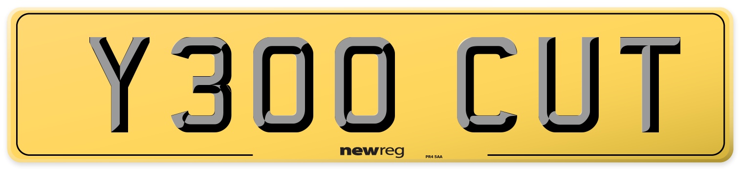Y300 CUT Rear Number Plate