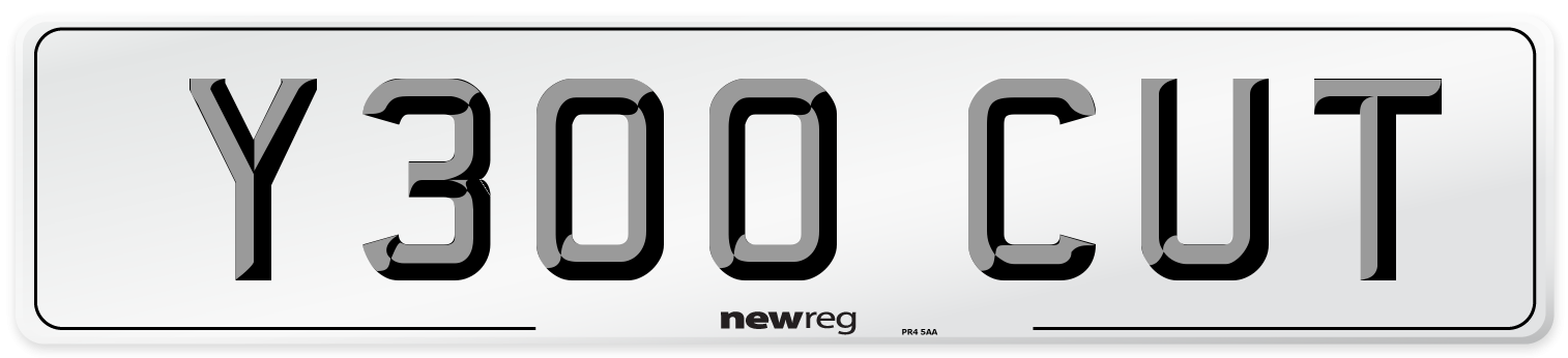 Y300 CUT Front Number Plate