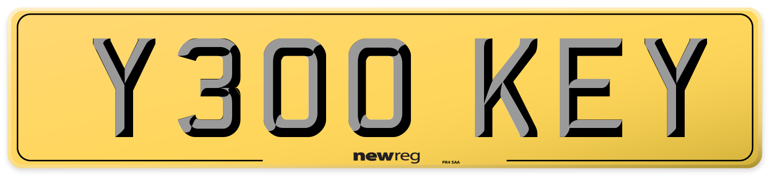 Y300 KEY Rear Number Plate