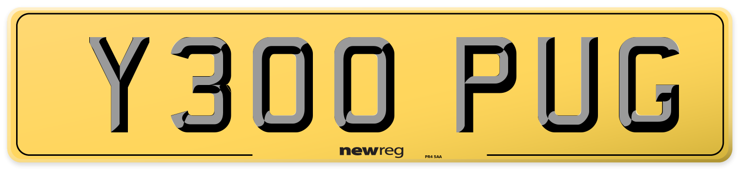 Y300 PUG Rear Number Plate