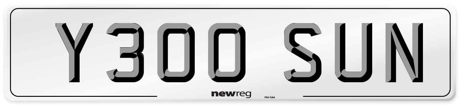Y300 SUN Front Number Plate