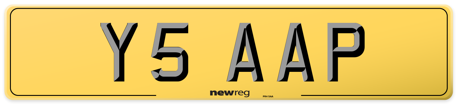 Y5 AAP Rear Number Plate